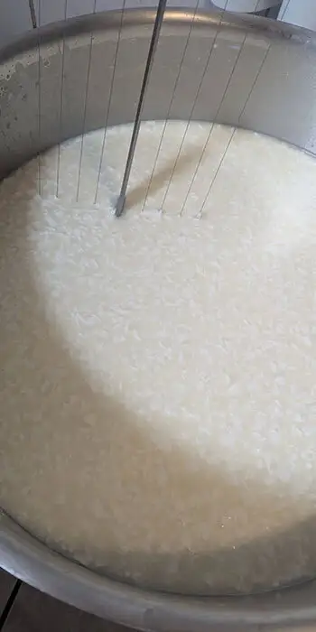 Caillé du lait de chèvre