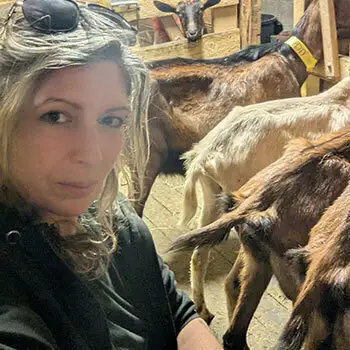 Traite des chèvres par Gaëlle