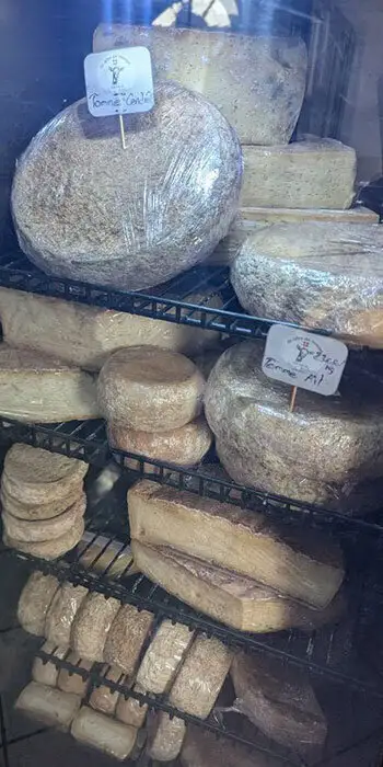 Fromages de chèvre en chambre froide