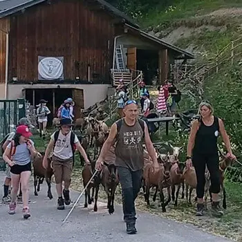 Départ de la randonnée avec les chèvres