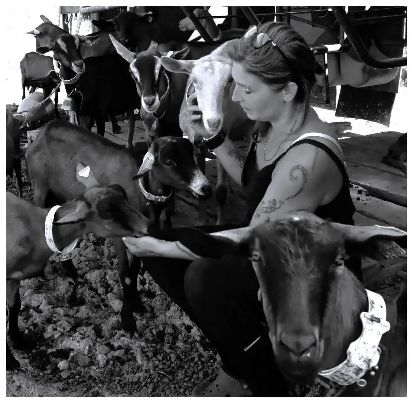 Gaëlle avec les chèvres de la ferme