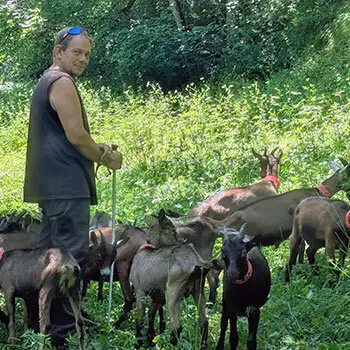 David en randonnée avec les chèvres
